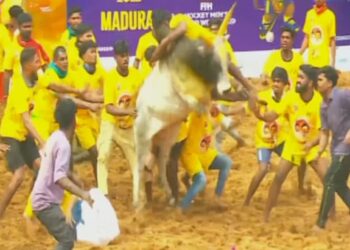 ஹாக்கி வீரர்களுக்காக மதுரையில் நடந்த சிறப்பு ஜல்லிக்கட்டு போட்டி