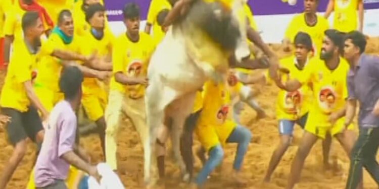 ஹாக்கி வீரர்களுக்காக மதுரையில் நடந்த சிறப்பு ஜல்லிக்கட்டு போட்டி