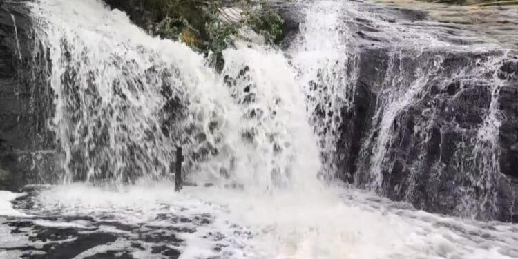 கனமழையால் வெள்ளப்பெருக்கு – கும்பக்கரை அருவியில் குளிக்கத் தடை